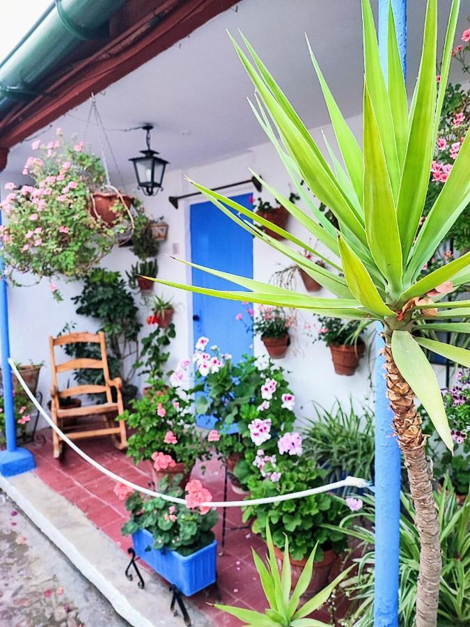 Apartamento Alcazar San Basilio 코르도바 외부 사진