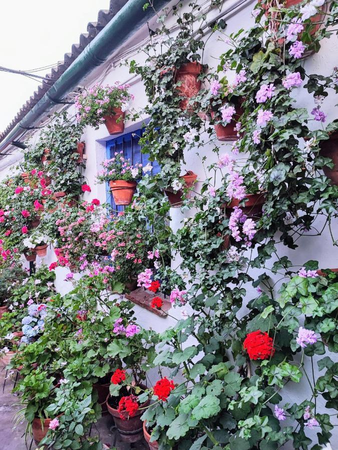 Apartamento Alcazar San Basilio 코르도바 외부 사진
