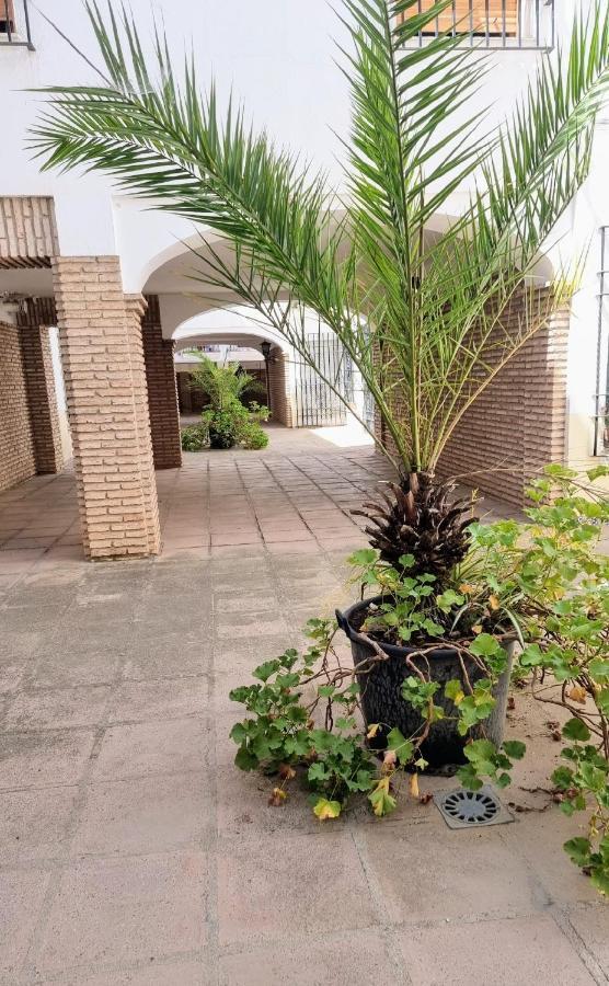 Apartamento Alcazar San Basilio 코르도바 외부 사진